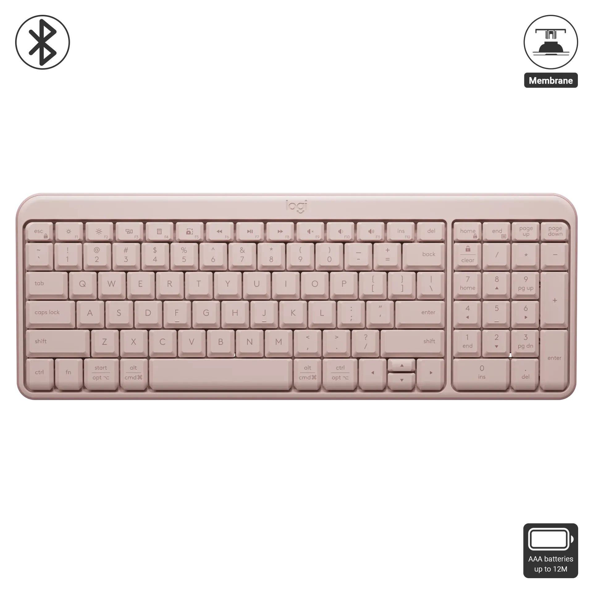 K251