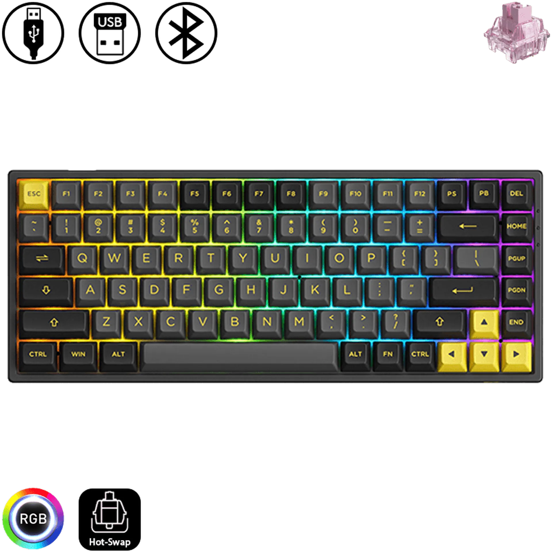 3084B Plus - Black & Gold