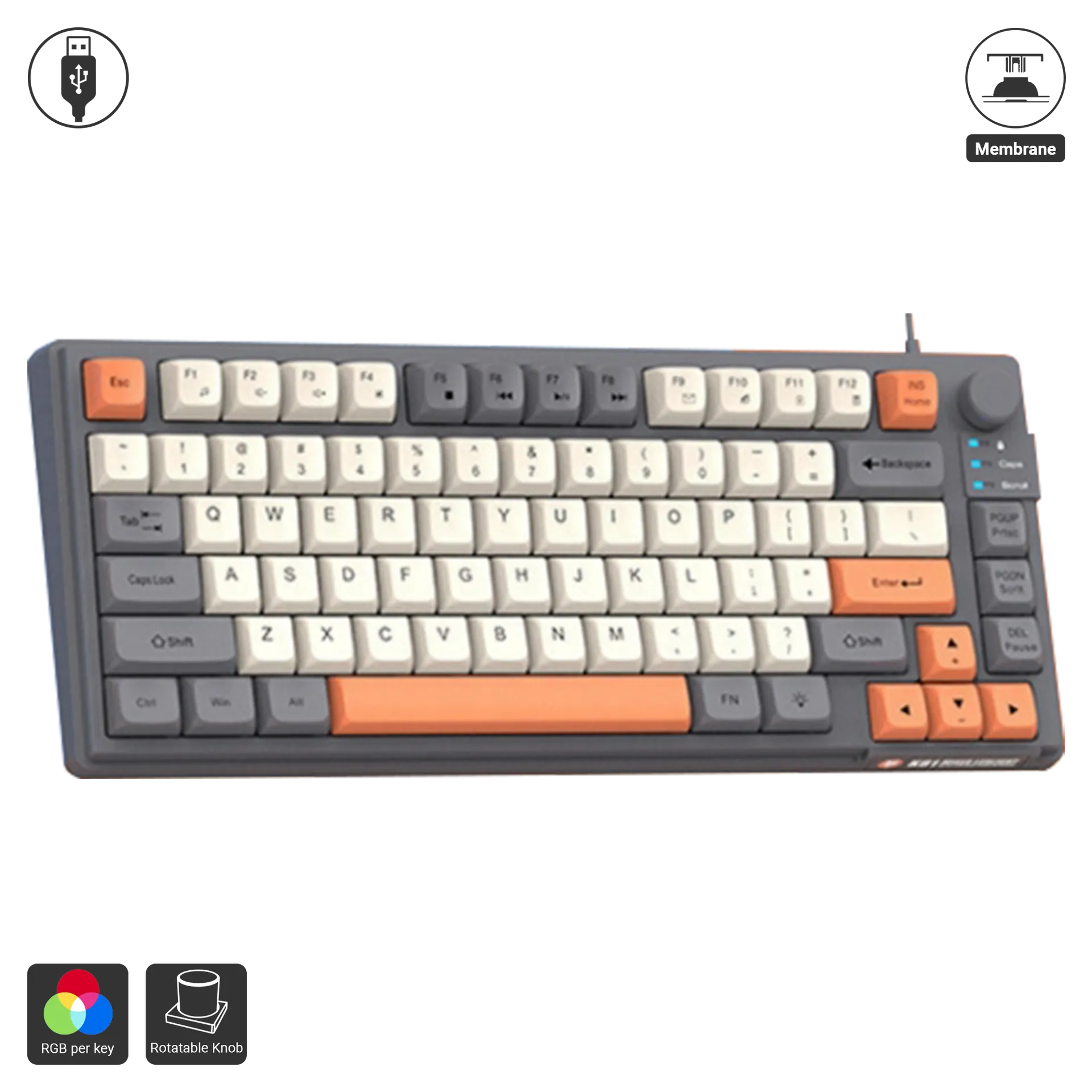 K81