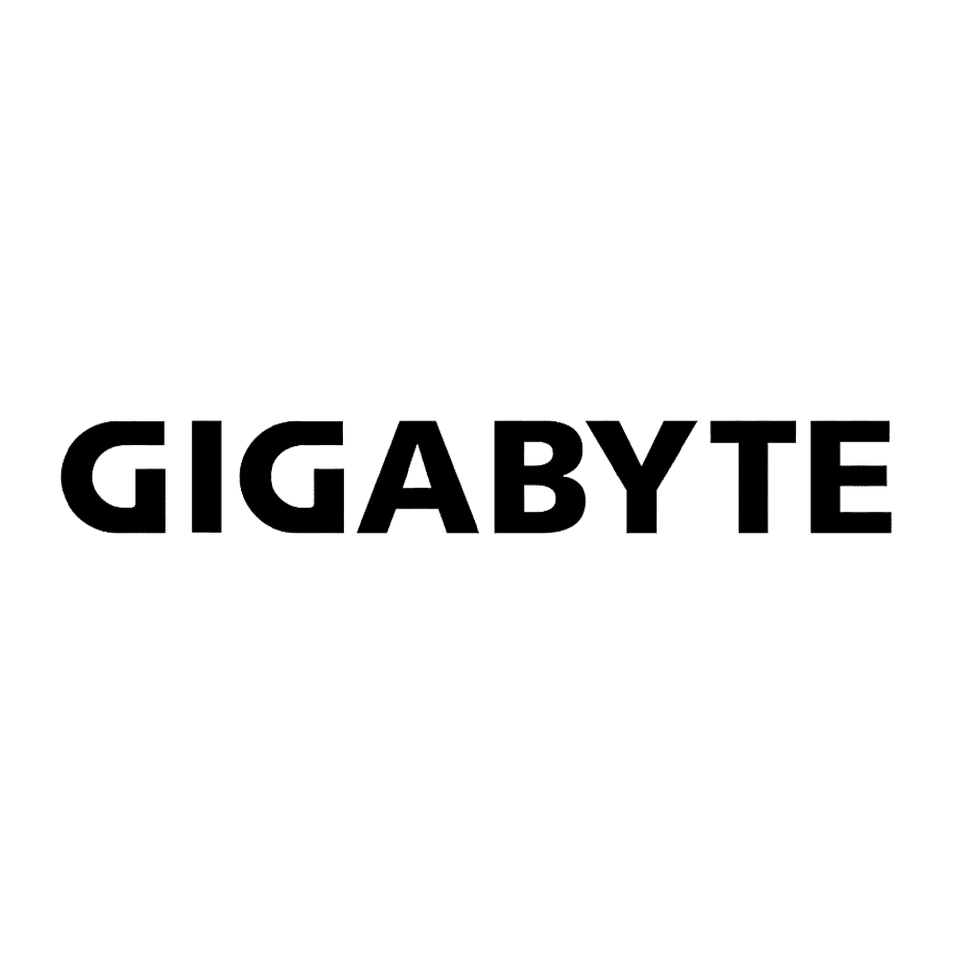 Gigabyte