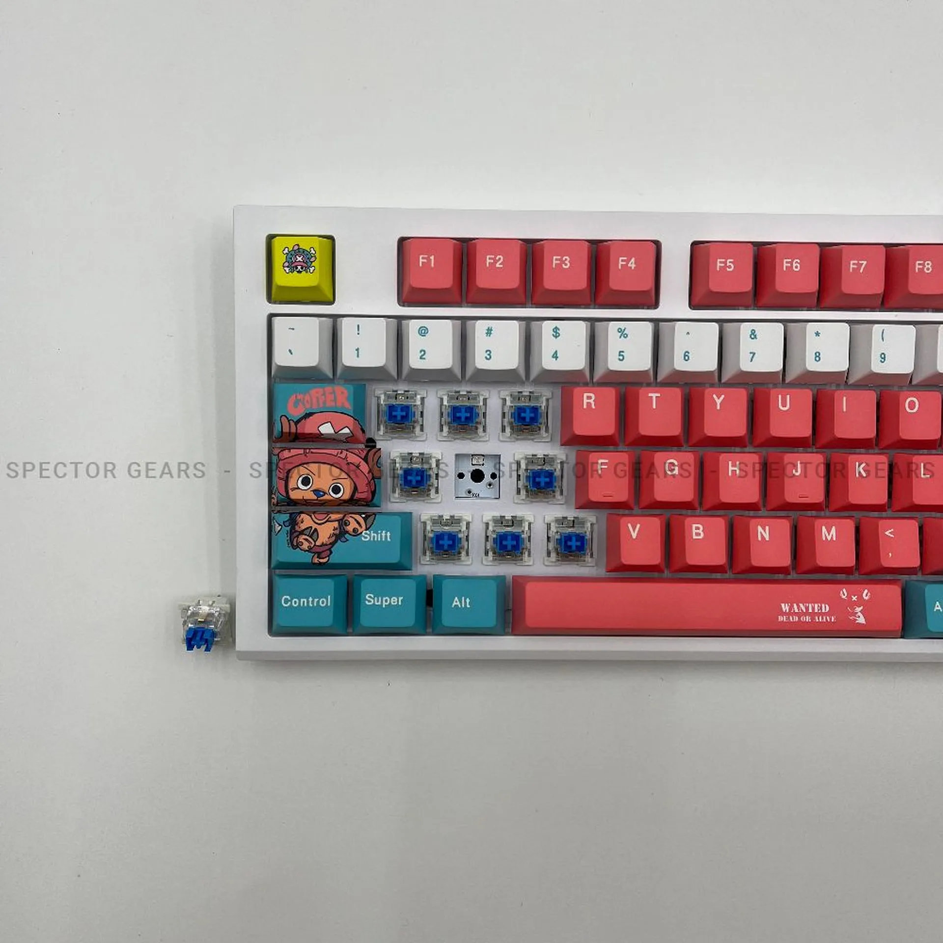 Series One x One Piece - TK Computer KH, Cambodia