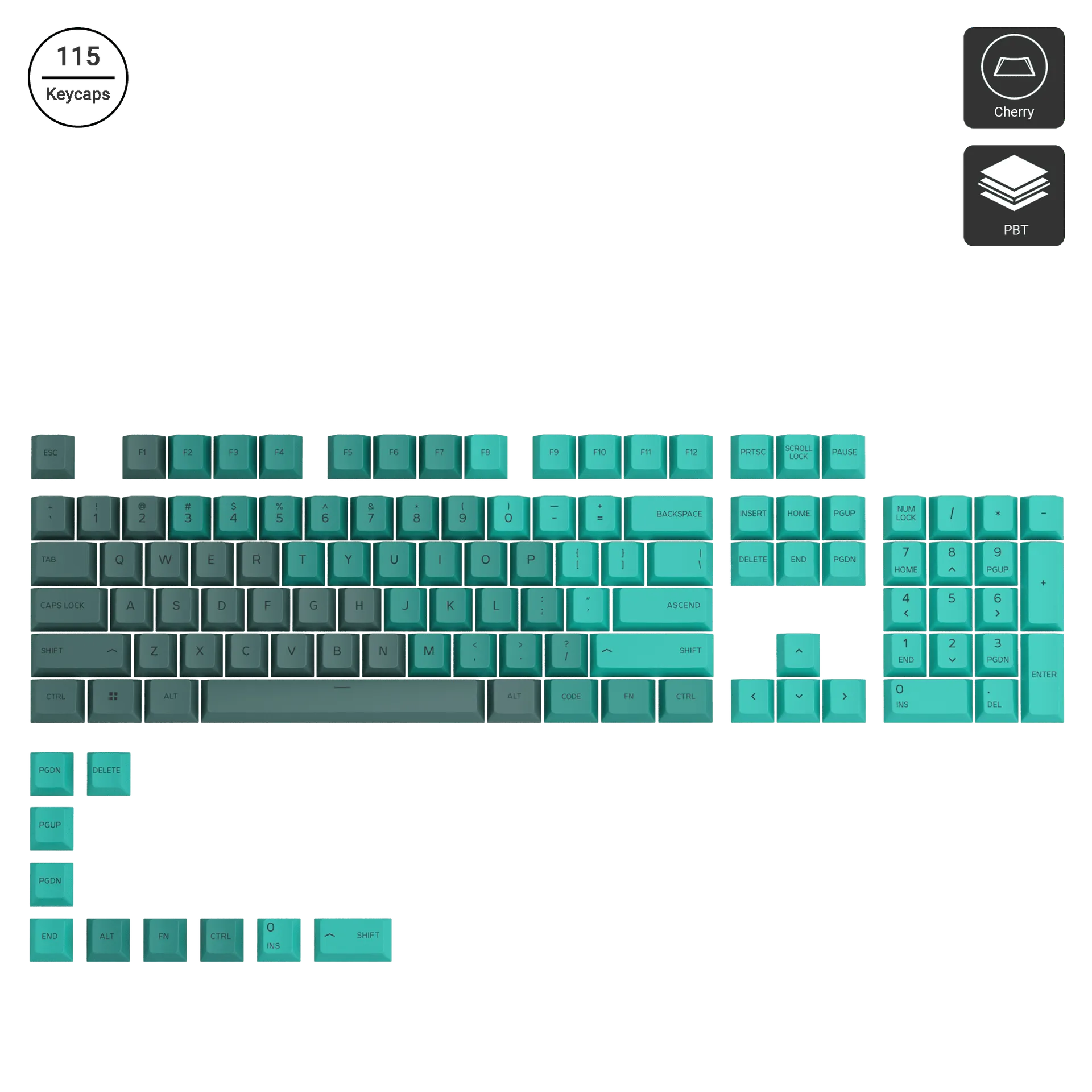 GPBT Rain Forest