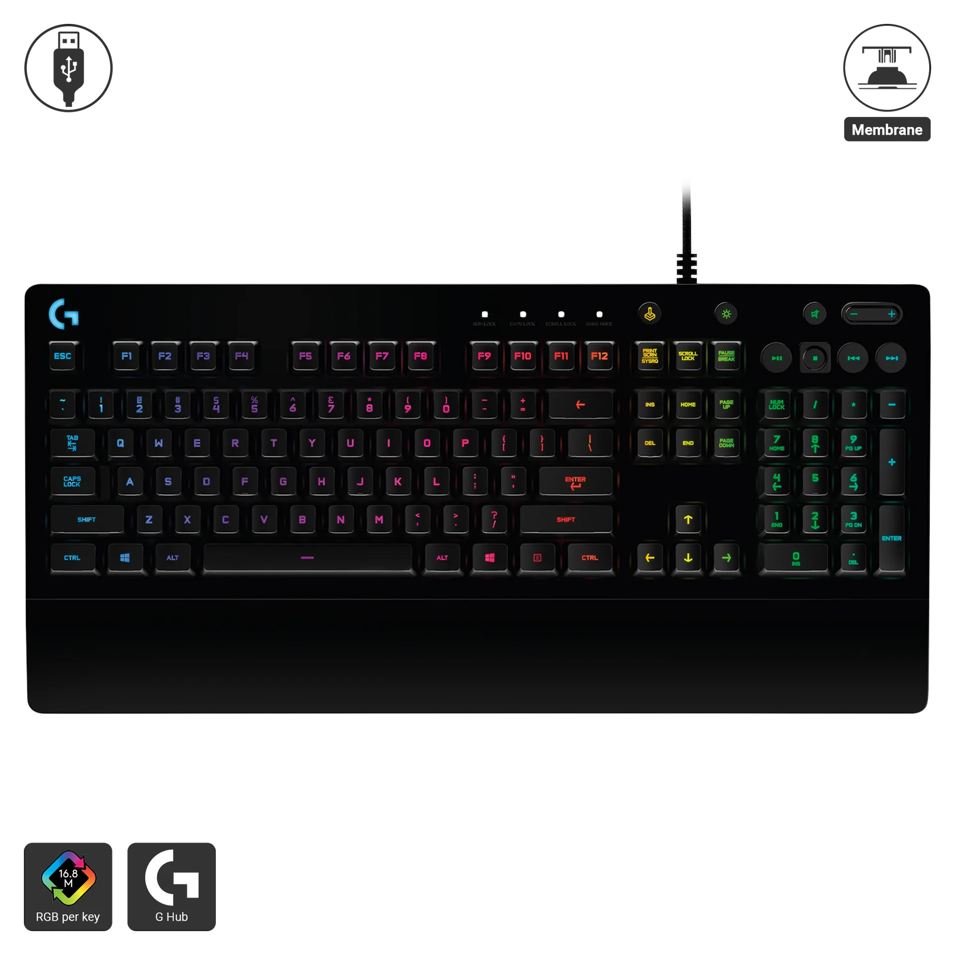 G213