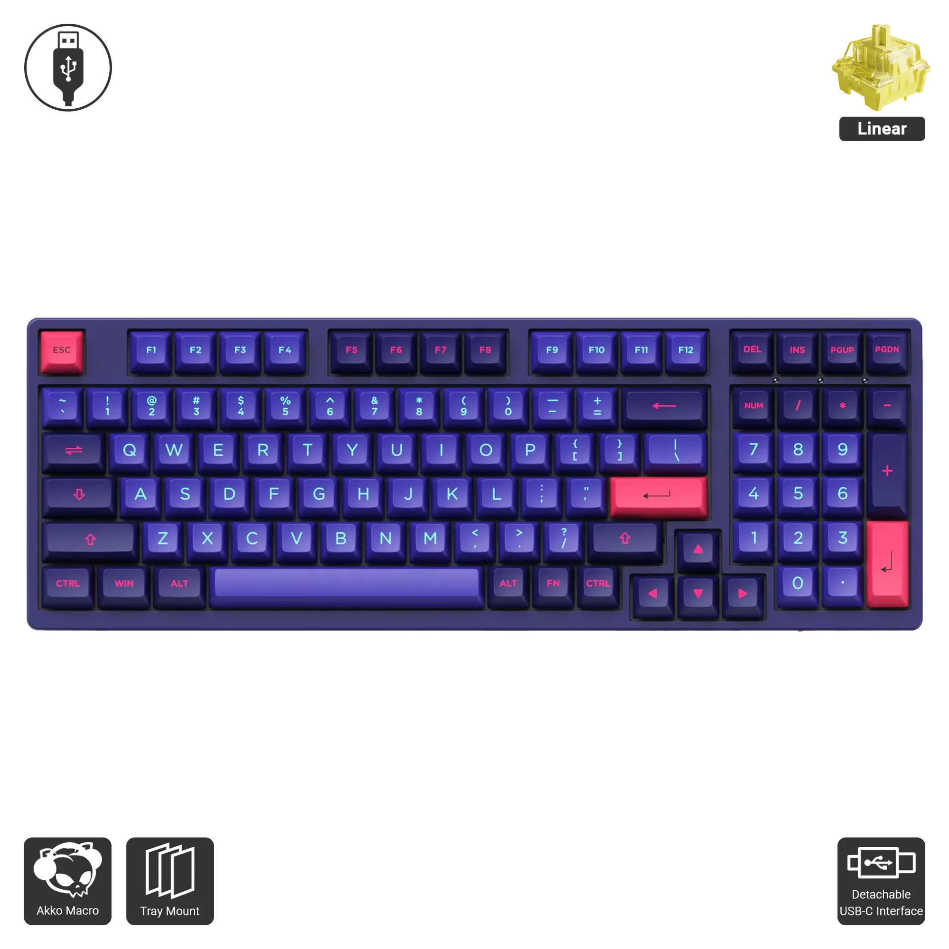 3098 - Neon