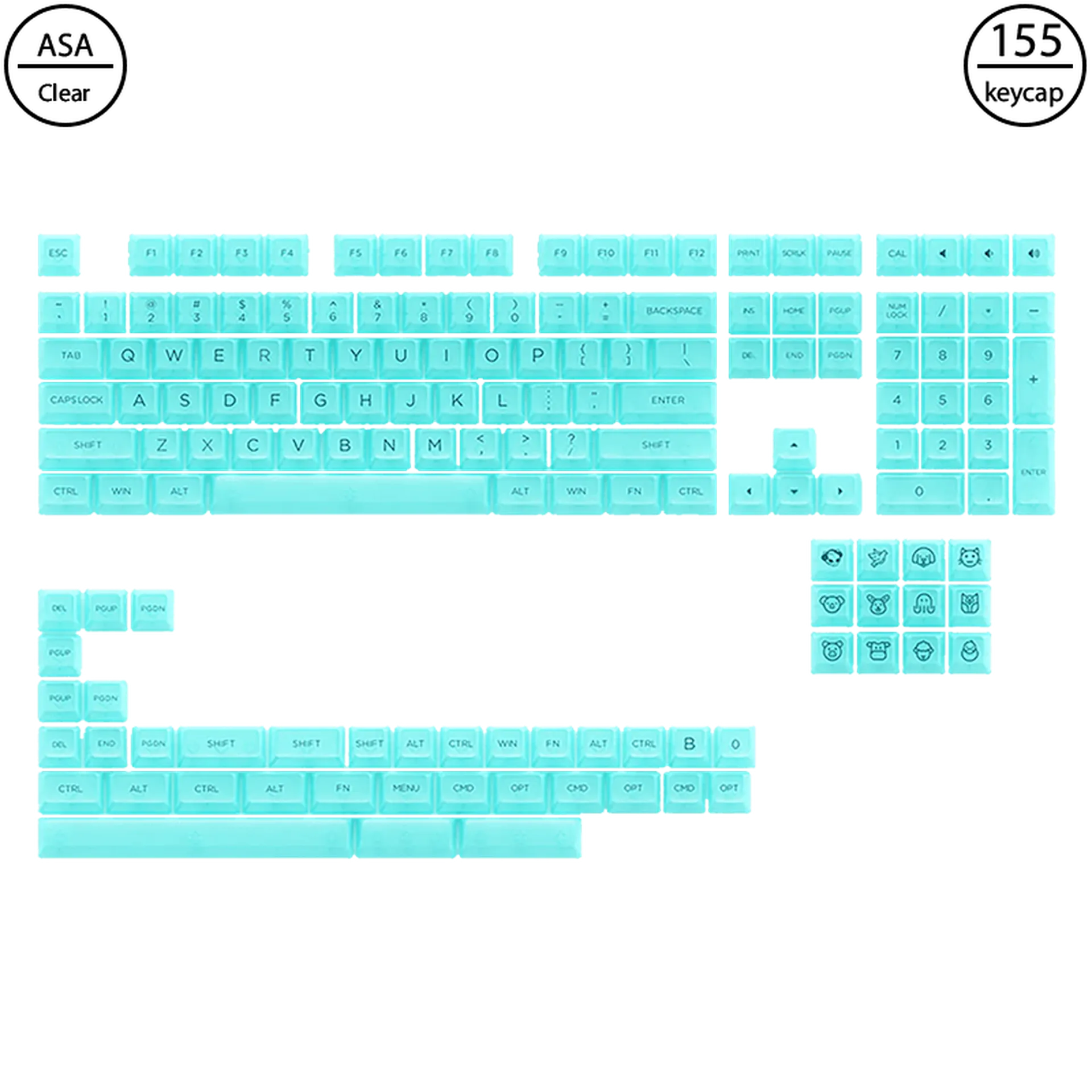 Clear Transparent - Mint