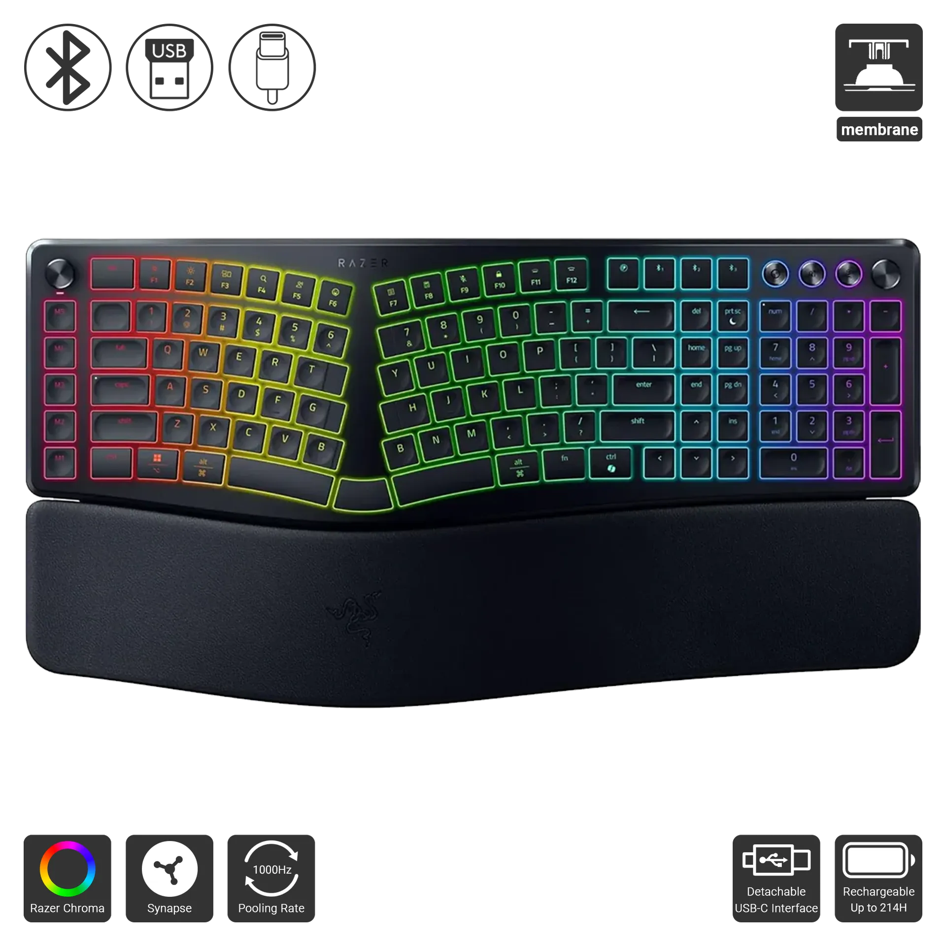 Pro Type Ergo