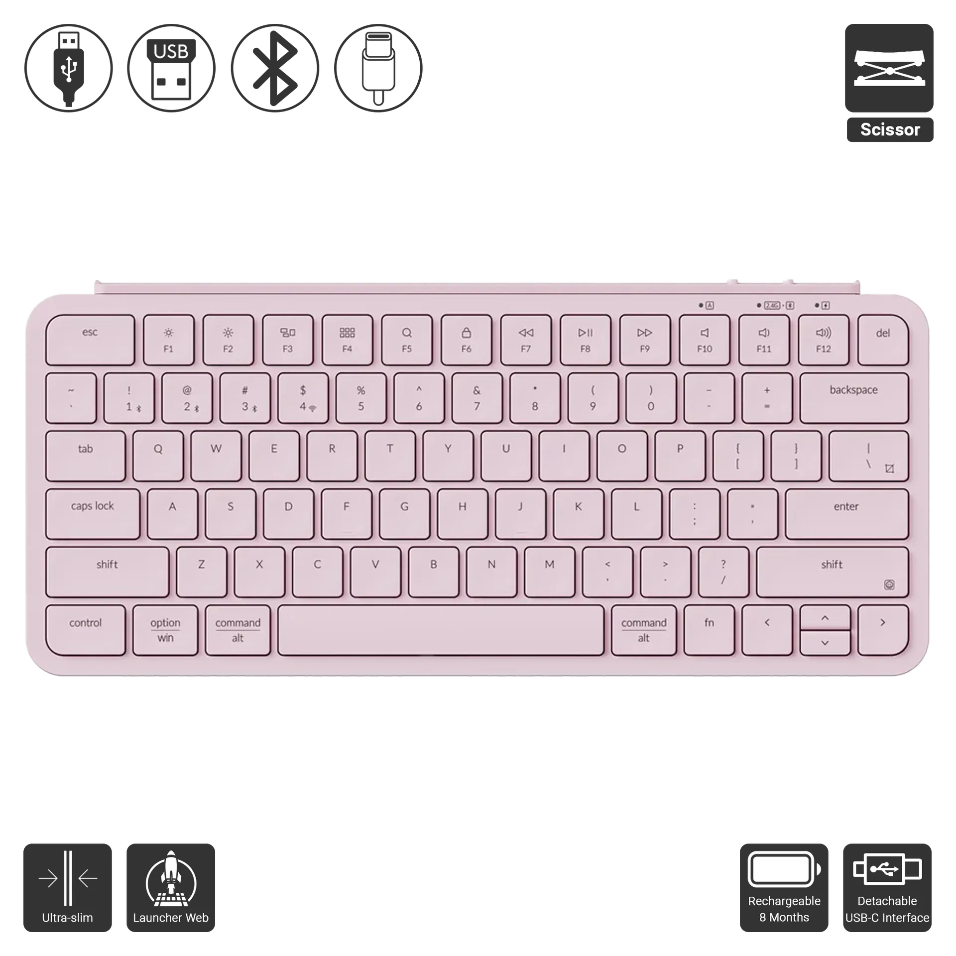 B1 Pro