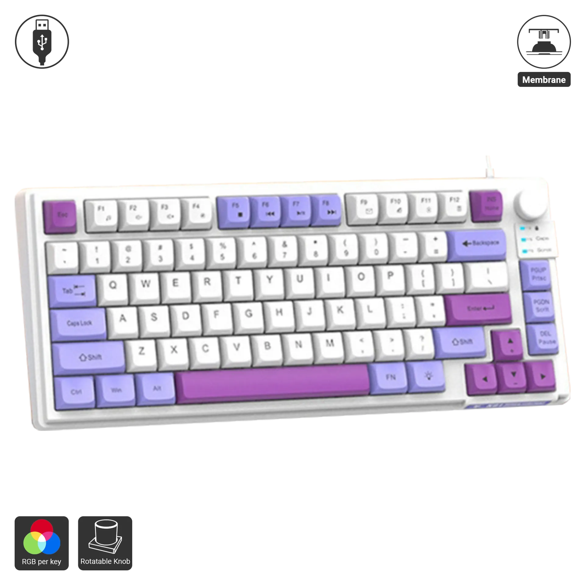 K81