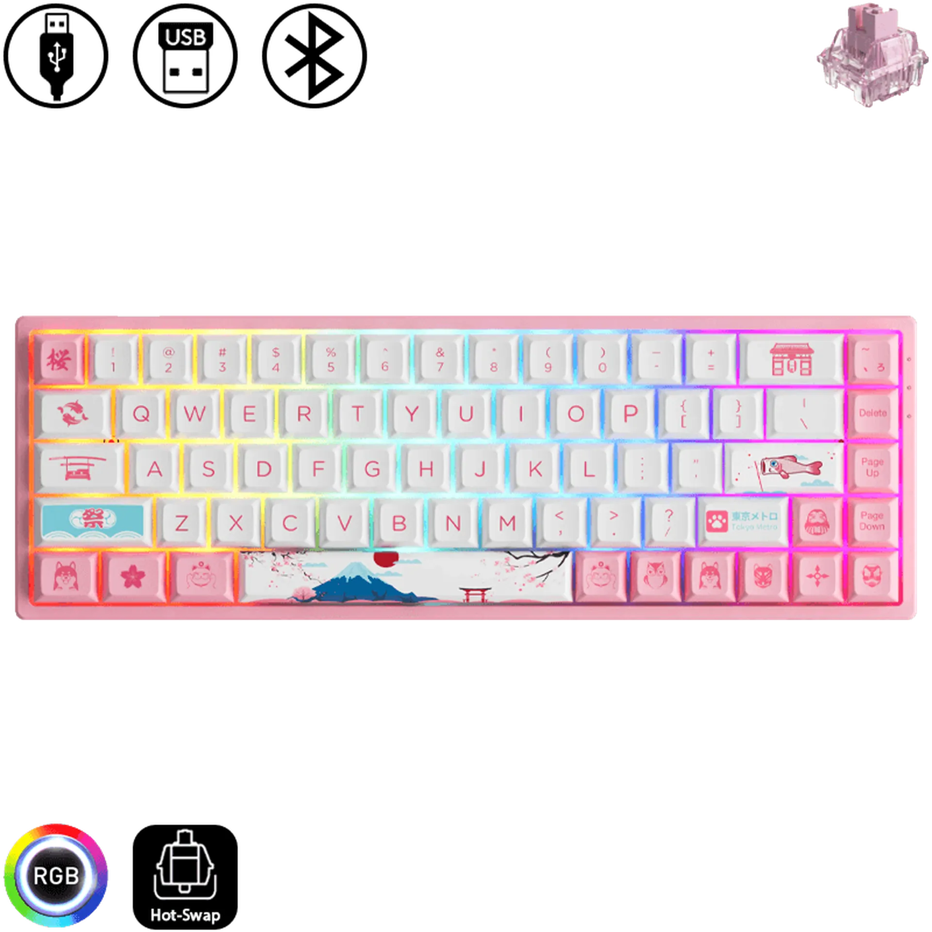 3068B Plus - World Tour Tokyo