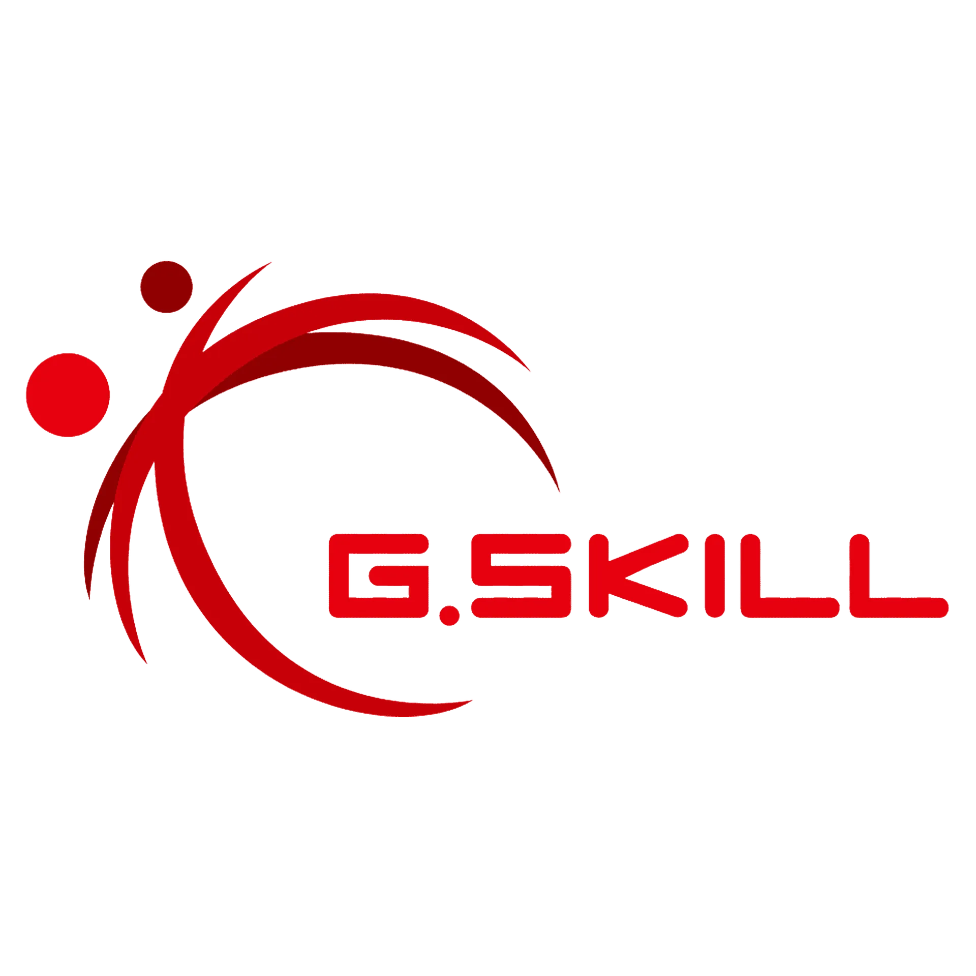 G.Skill
