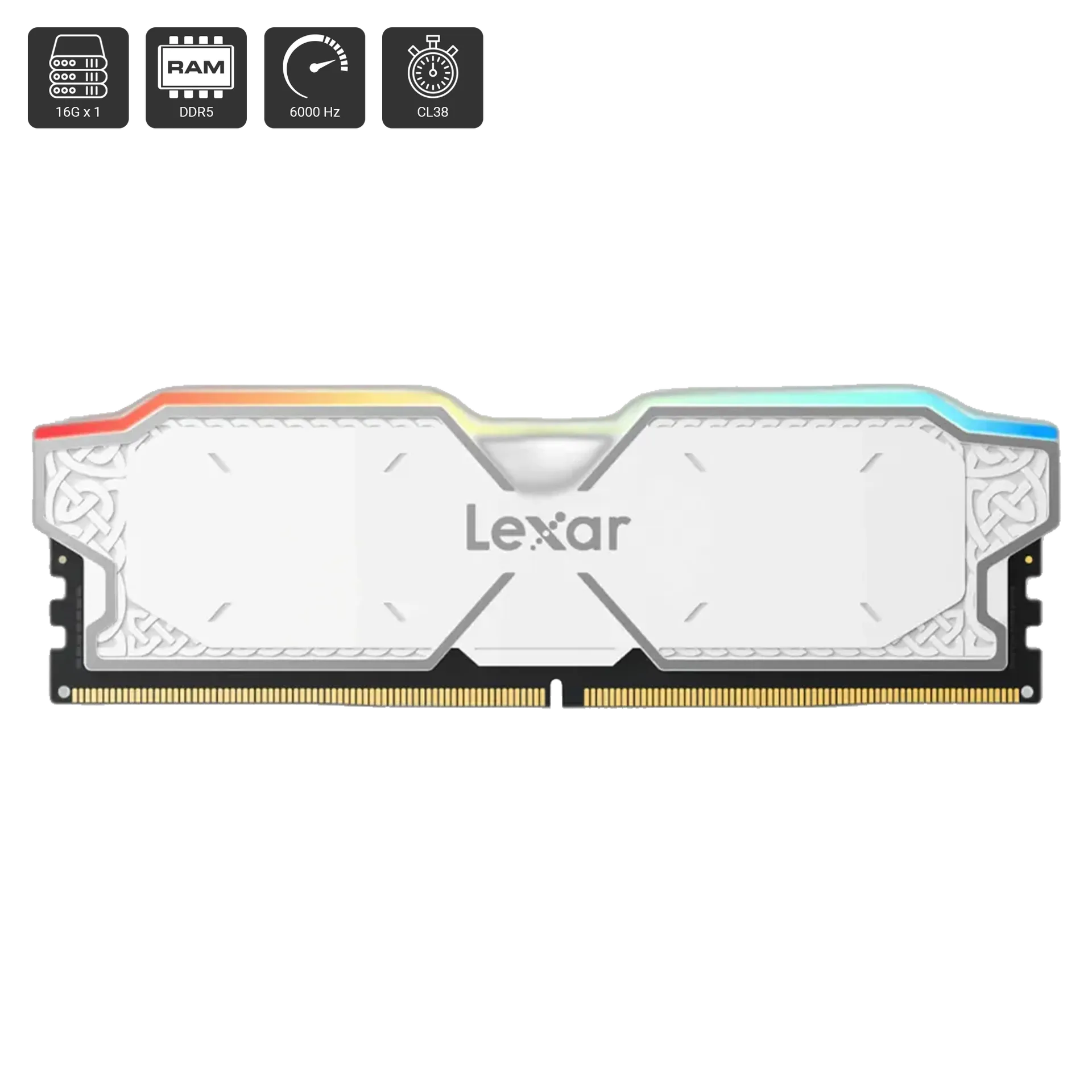 Thor RGB 16GB (16GB x 1) DDR5 DRAM 6000MT/s
